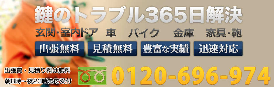 0120-696-974